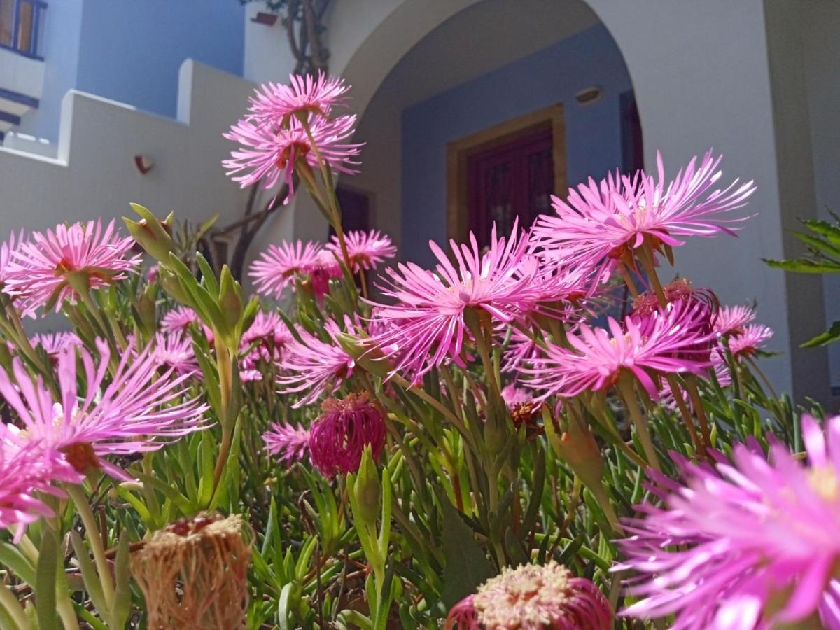 Nefeli Hotel Leros Agia Marina  Exteriér fotografie
